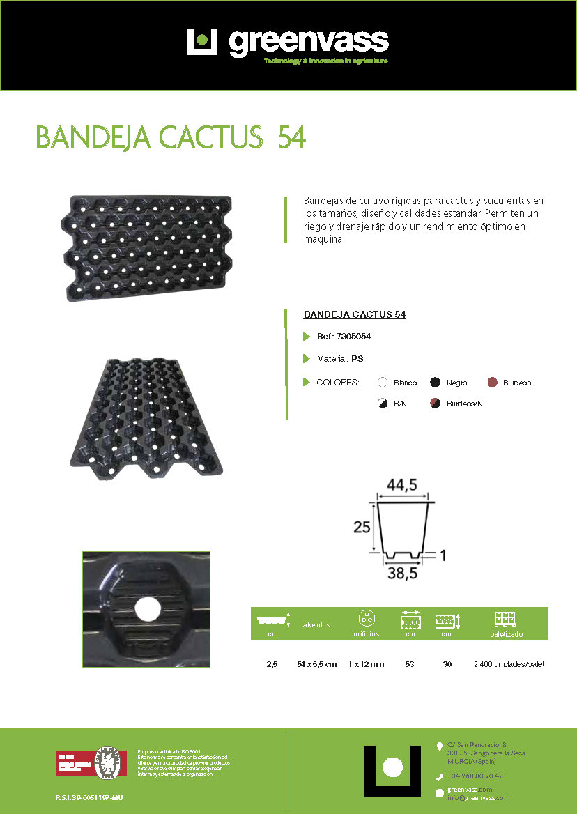 Bandeja cactus 54